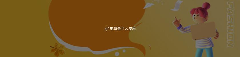 aj4电母是什么皮质 aj4电母是什么皮质